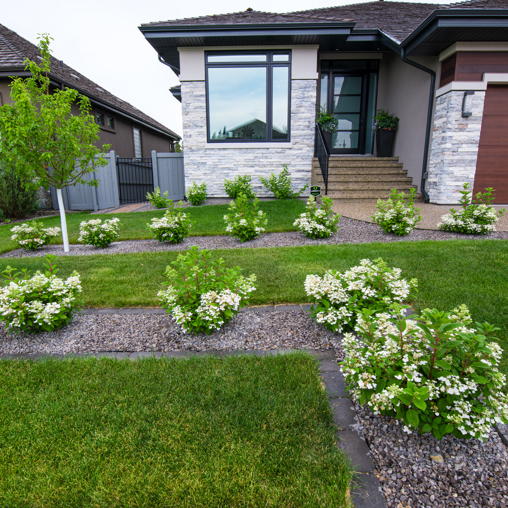 Front Yard Landscaping Company Edmonton | Salisbury Landscaping